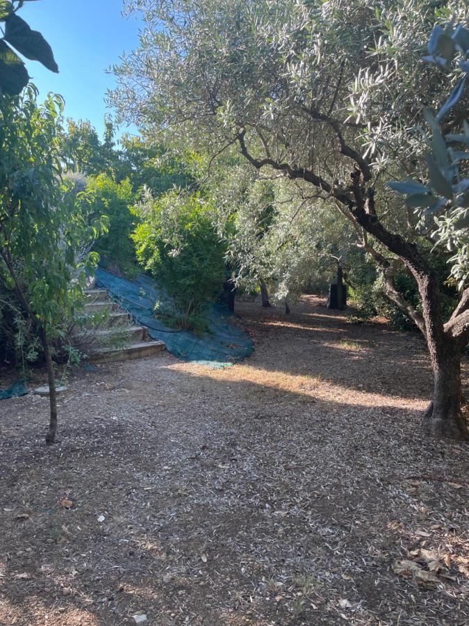 Villa 180 M2 Piscine Draguignan Exterior foto